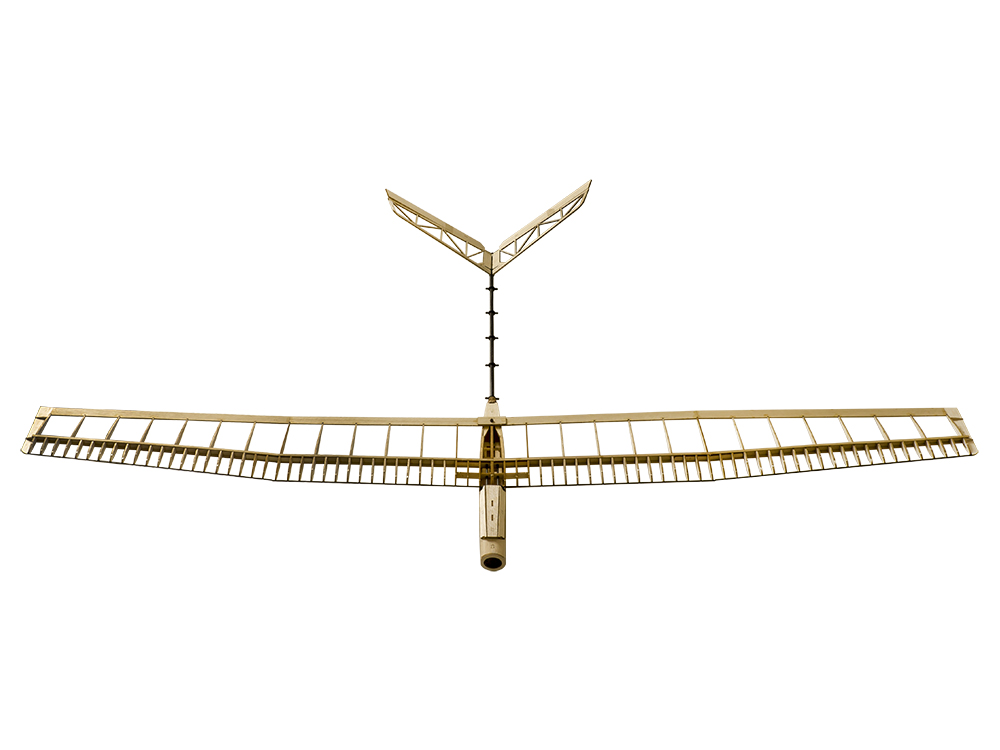 DW Hobby RC Glider Aircraft U- - Rc Hobby Experts recensione e prezzo