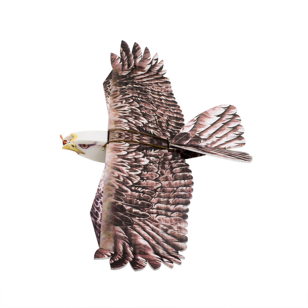 DW Hobby Eagle II EPP Airplane - Rc Hobby Experts recensione e prezzo