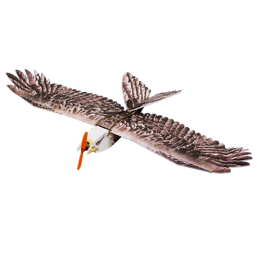 DW Hobby Eagle II EPP Airplane - Rc Hobby Experts recensione e prezzo