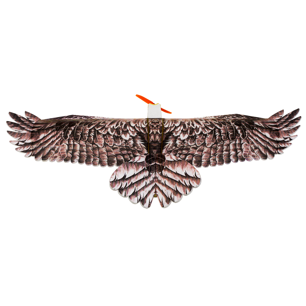 DW Hobby Eagle II EPP Airplane - Rc Hobby Experts recensione e prezzo