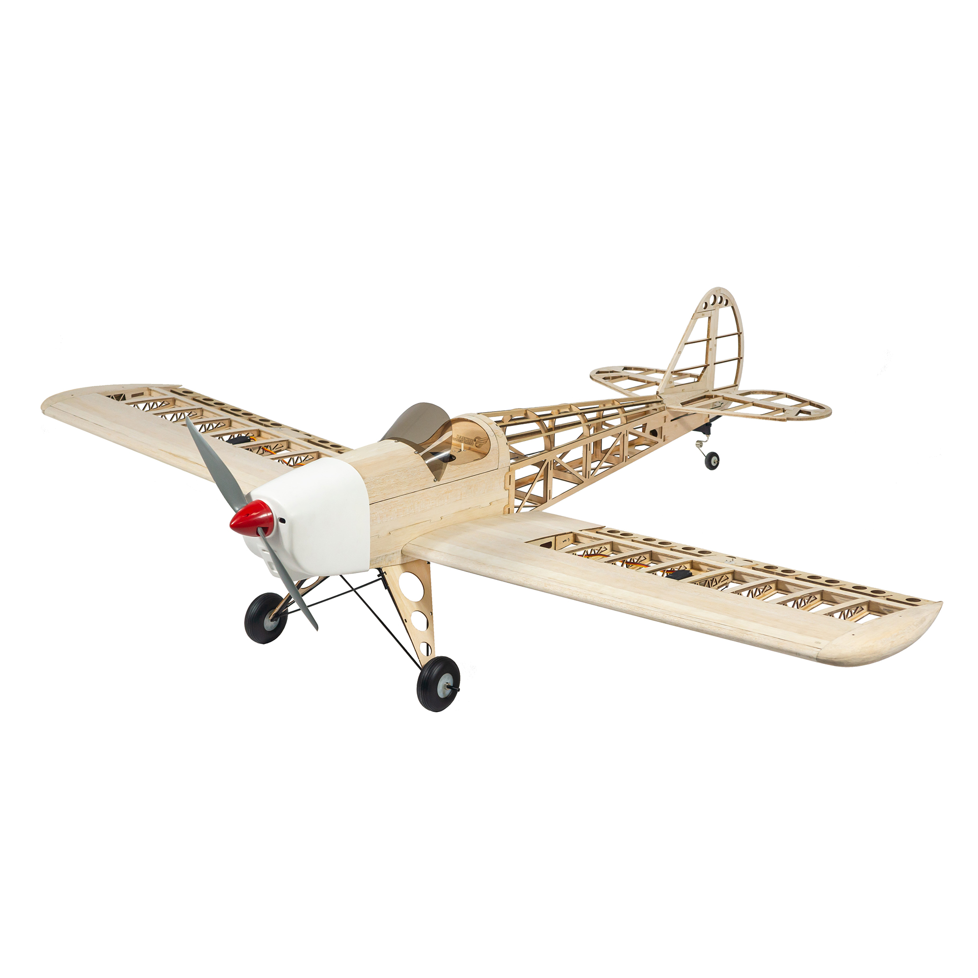 Dancing Wings Hobby 1.6M (63in - Rc Hobby Experts recensione e prezzo