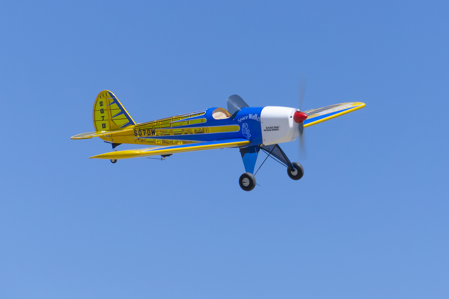 Dancing Wings Hobby 1.6M (63in - Rc Hobby Experts recensione e prezzo